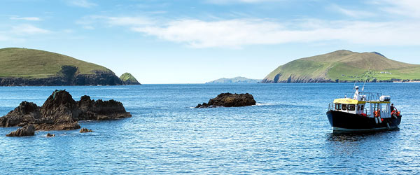 Dingle boat tours