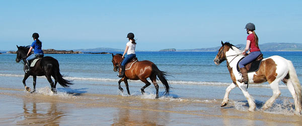 Horse riding Dingle