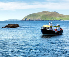 Boat trips
